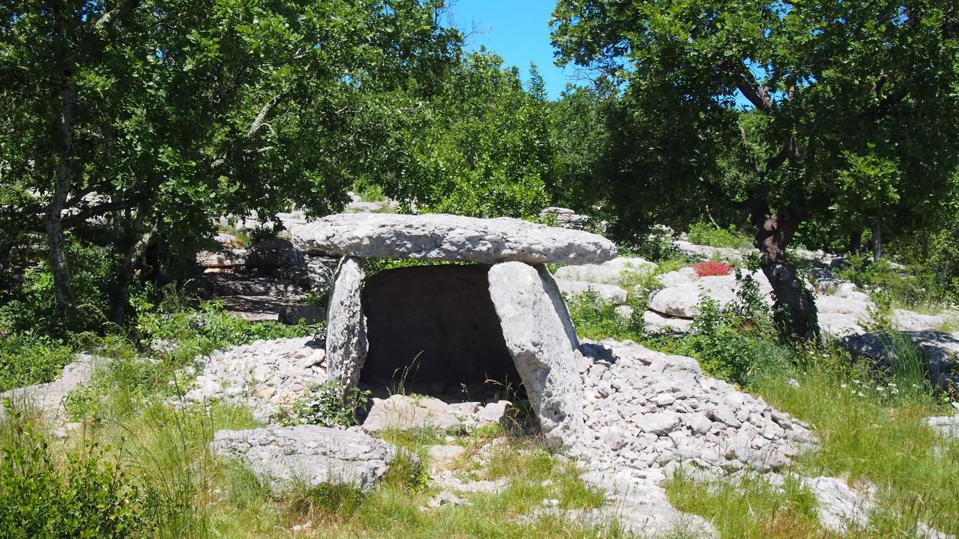 Gite Du Ranc De Figere Labeaume